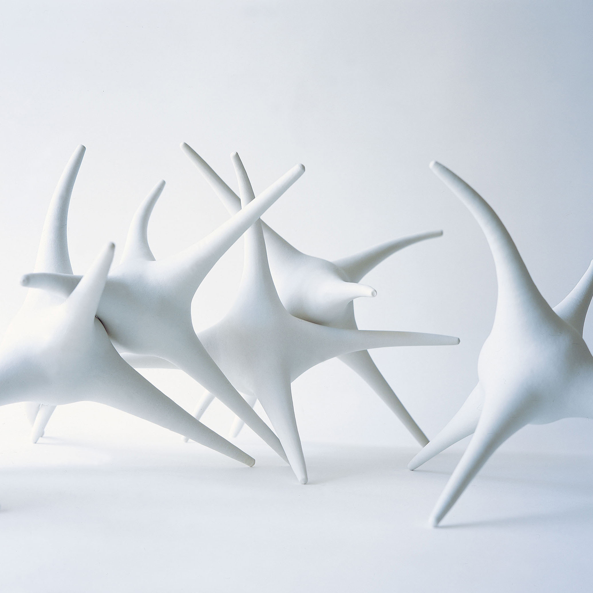 LR12 bronze_strange attractor_white
